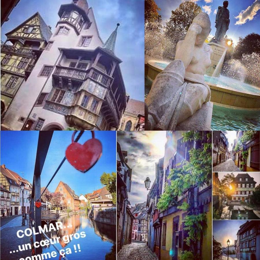 Le 1 " Gites Tout Confort A Colmar Centre" Экстерьер фото